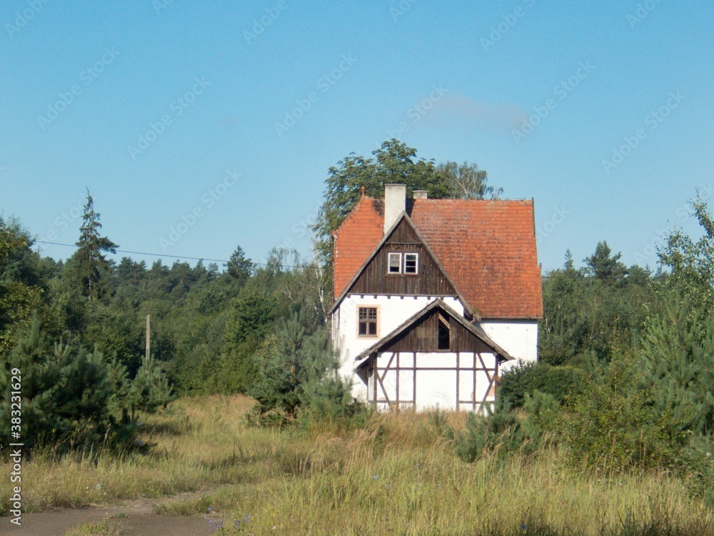 ruined house in the wood