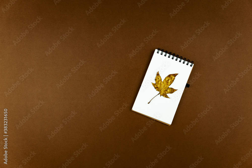 Autumn busines concept - blank ring-bound notebook with golden maple leaf and pen on brown background with copy space Autumn busines concept - blank ring-bound notebook with golden maple leaf and pen on brown background with copy space