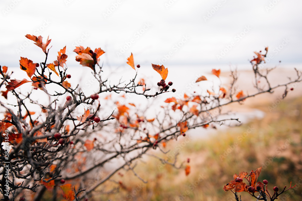 autumn on a lake Baikal, Siberia