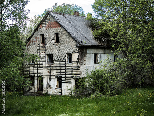 ruined house in the wood