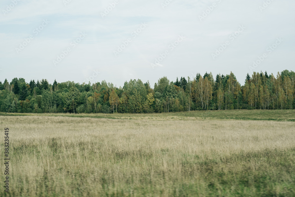 Forest and field in early autumn. Scenery