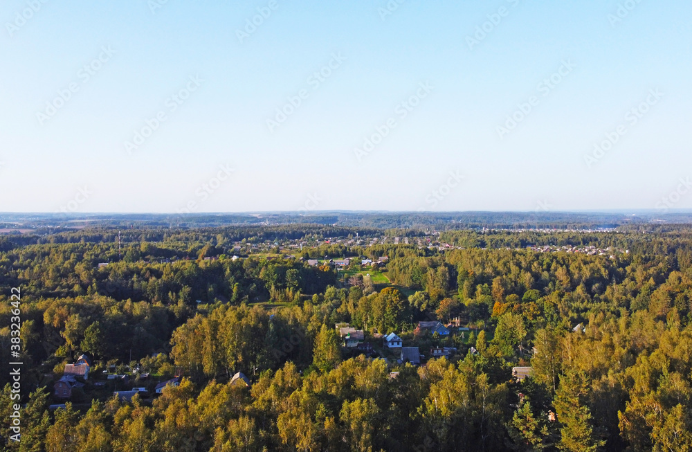 Beautiful top view of forest landscape with green trees