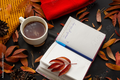 inscription Goals of day on black background among autumn leaves, pine cones and needles. Daily goal planning concept. Hat and. scarf for autumn cold Leaf on dairy