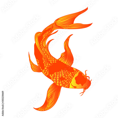 goldfish in water