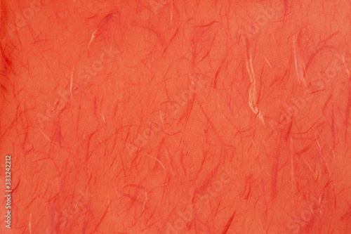 Wallpaper Mural 和紙 Torontodigital.ca