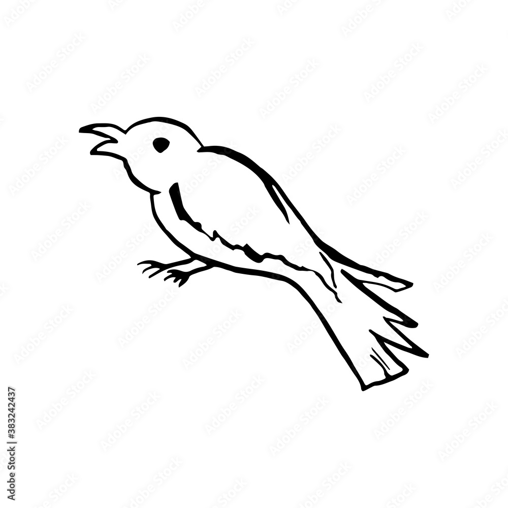 Halloween doodle crow or magpie bird element. Isolated vector illustration for horror design Halloween doodle crow or magpie bird element. Isolated vector illustration for horror design