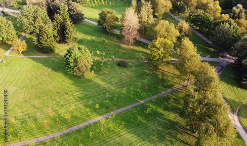 Top view of a beautiful grassy lawn in a summer park