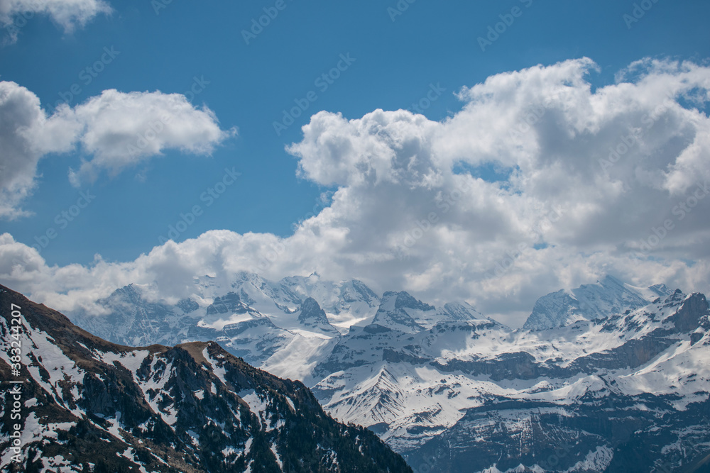 Beautiful swiss alps mountains. Alpine meadows.  