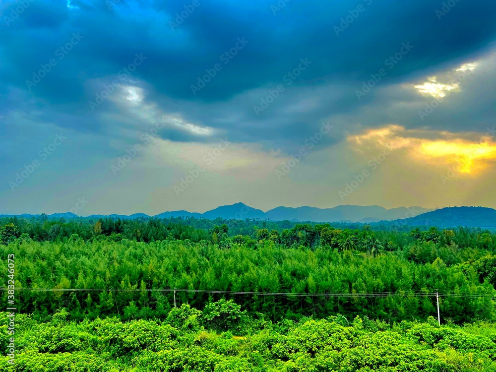 Naklejka premium field and blue sky