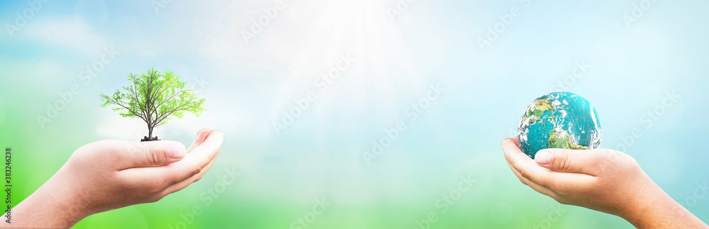 charity concept: hands holding earth globe and tree over blurred nature background. Elements of this image furnished by NASA charity concept: hands holding earth globe and tree over blurred nature background. Elements of this image furnished by NASA