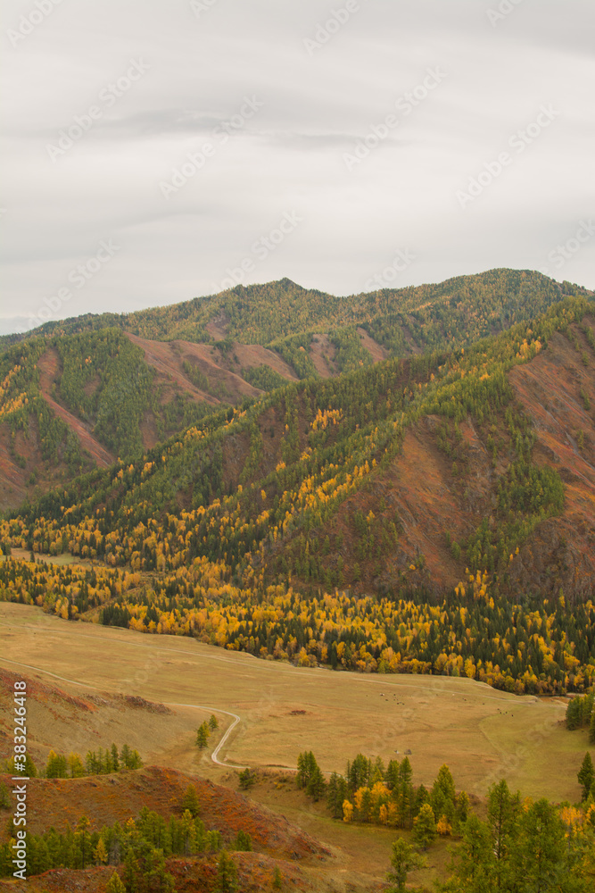 Autumn mountain landscape. Autumn in the mountains of Gorny Altai. Travel to Altai.