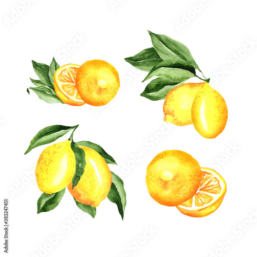 Lemons Arrangement Watercolor Set. Vector artistic collection isolated on white. cocktail party decorations