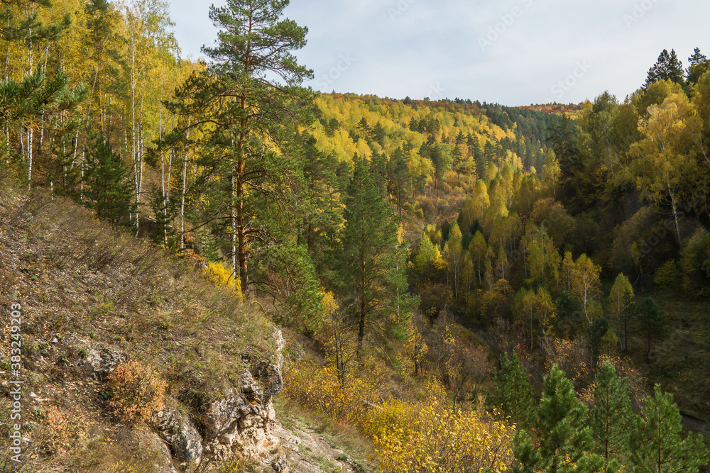 wild forest valley on a warm sunny autumn day
