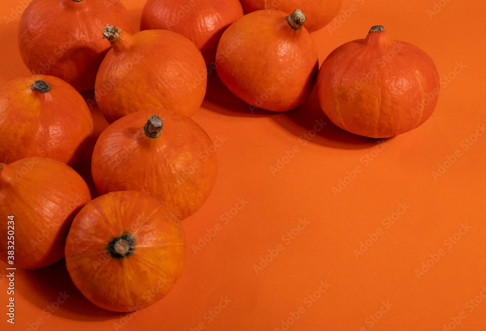 orange little pumpkins orange little pumpkins
