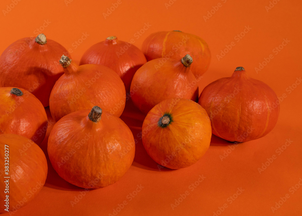 orange little pumpkins orange little pumpkins