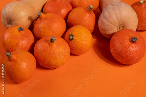 orange little pumpkins