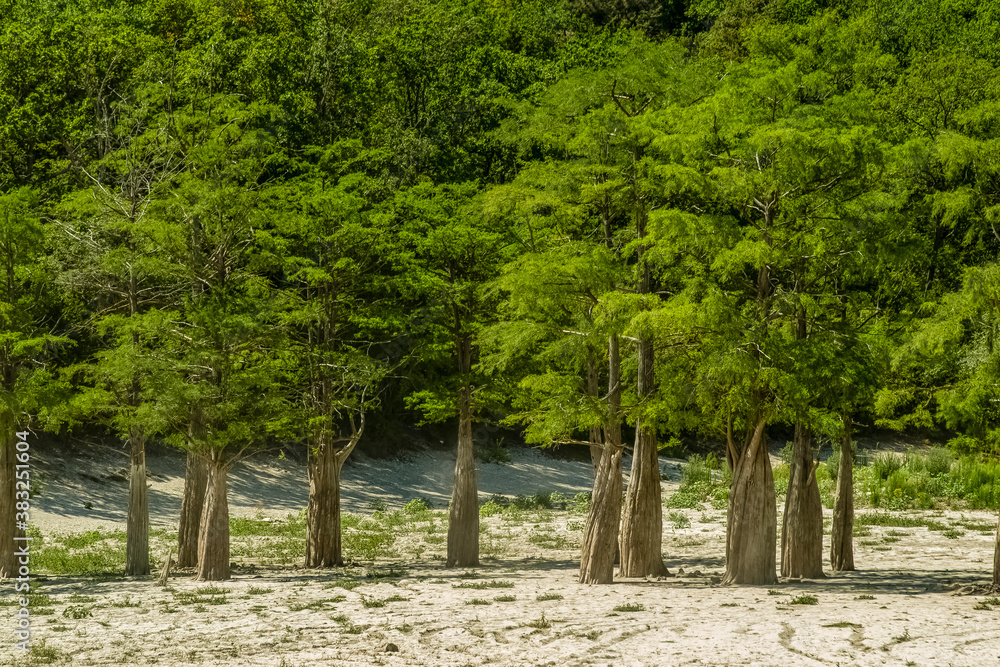 Lake Cypress in Sukko. Attractions of Anapa. Green lake. The nature of Russia. A dry lake. Changing of the climate. Lake Cypress in Sukko. Attractions of Anapa. Green lake. The nature of Russia. A dry lake. Changing of the climate.