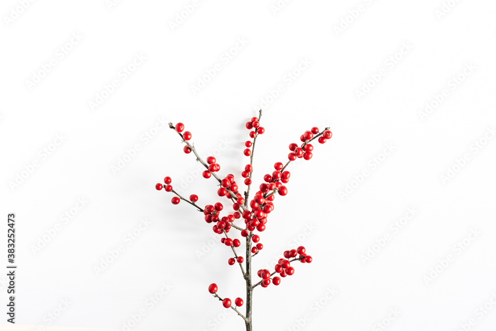 Minimal seasonal composition. Pattern of branch with red berries on isolated white background. Christmas holidays, winter concept. Header, copy space.