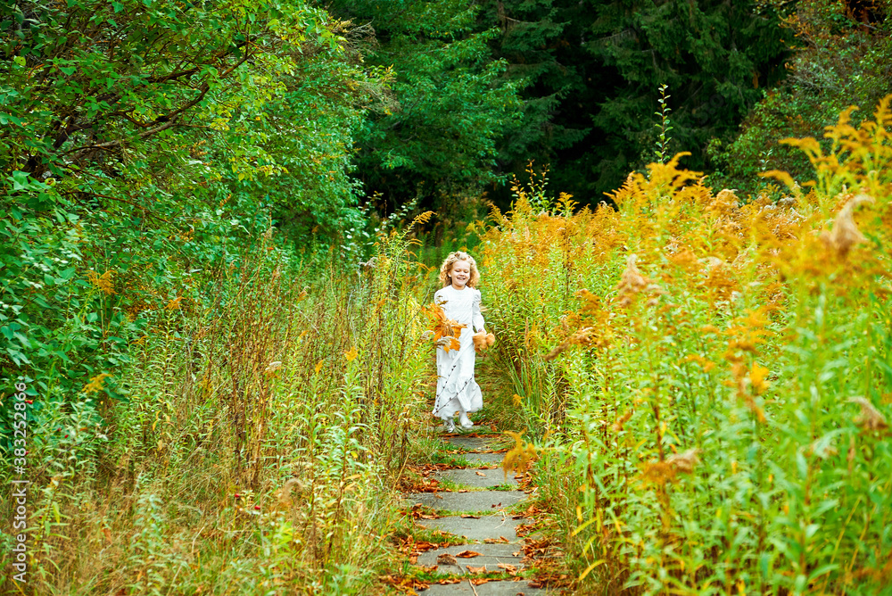 happy little girl in a white dress runs in the park with yellow leaves in her hands happy little girl in a white dress runs in the park with yellow leaves in her hands
