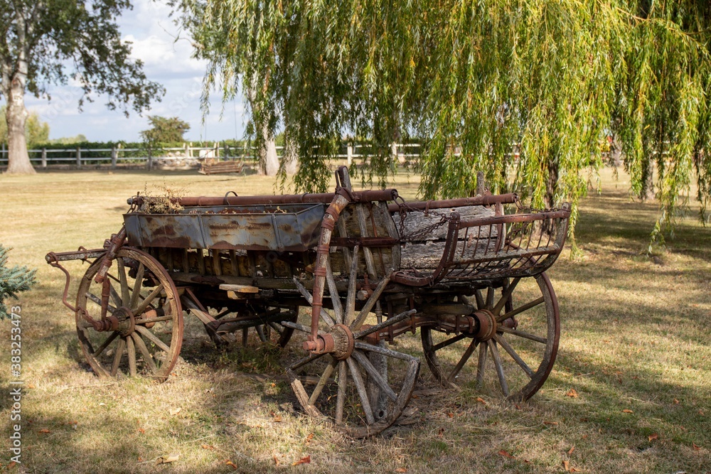 Old cart in a landscape design of a park area with a willow background