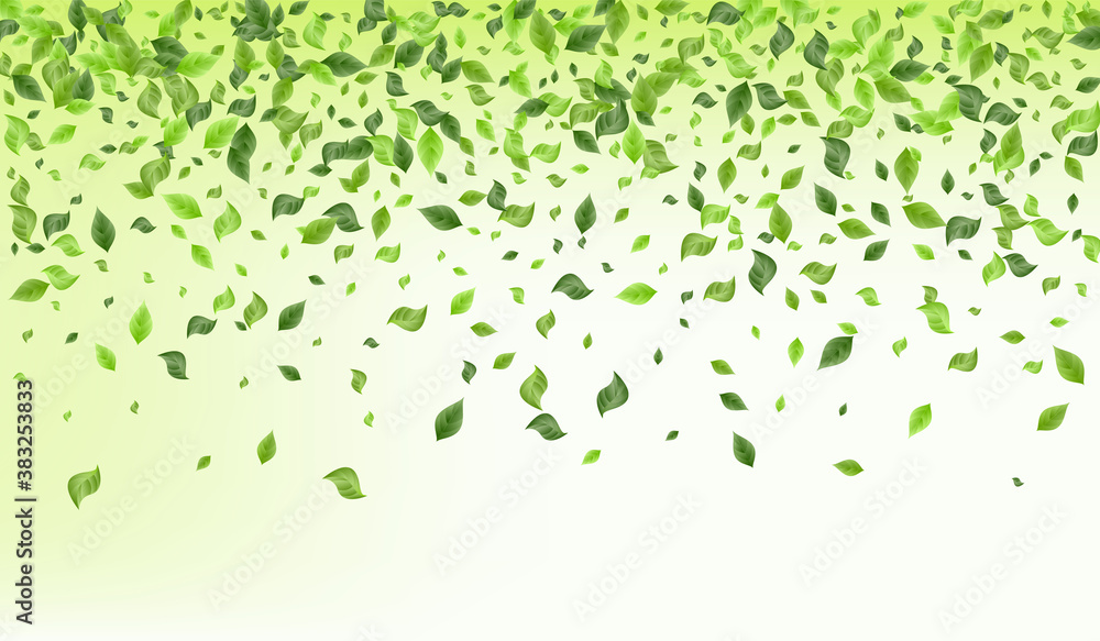 Green Leaves Fresh Green Background Pattern. Green Leaves Fresh Green Background Pattern.