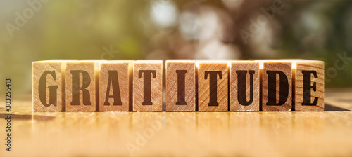 Фотография gratitude word written on wood block