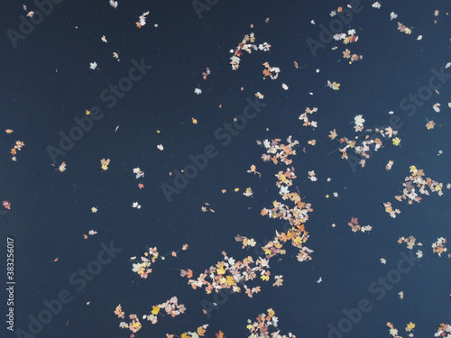 Aerial - Leaves In Still River