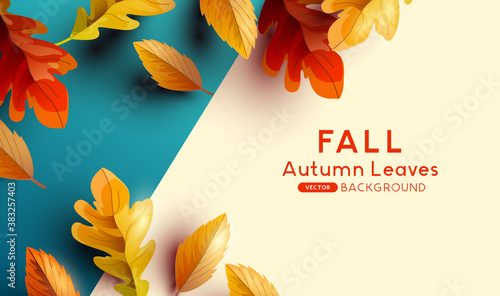 Autumn season background with falling autumn leaves and room for text. Flat lay Vector illustration