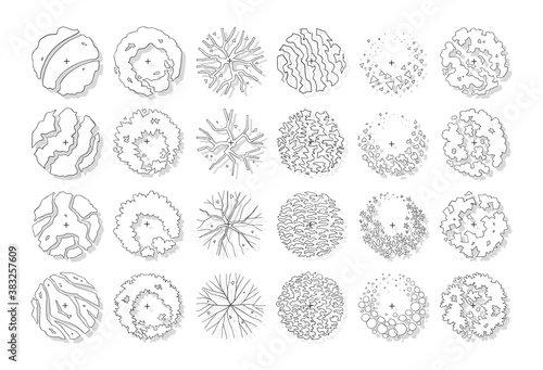 hand drawn vector set of top view tree isolated on white background.