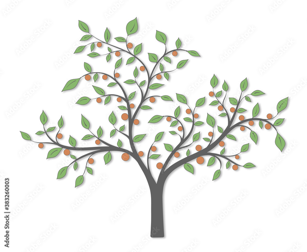 A blooming tree with green leaves and fruit on a white background