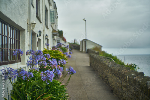 Cornwall The Lizard photo