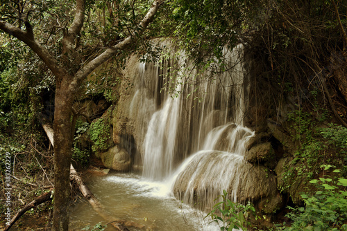 A small waterfall in the green forest