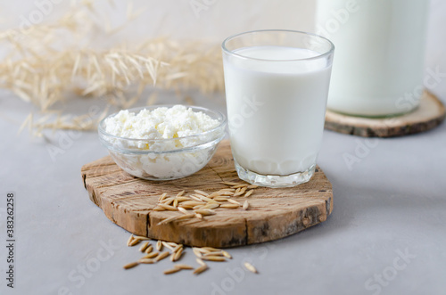 Homemade milk and cottage cheese on a wooden slice on a gray background. Fermented, protein foods and drinks. Copy space, side view