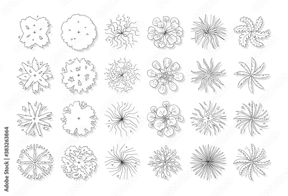 hand drawn vector set of top view tree isolated on white background.