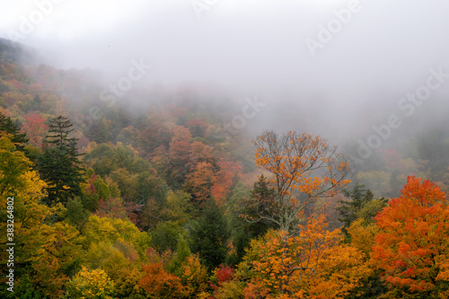 Vermont mountainside on a foggy fall day