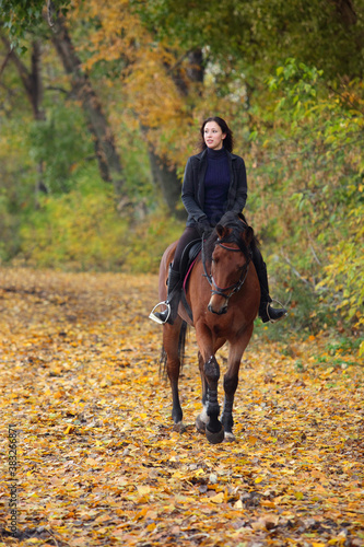 Equestrian woman ride horseback through autumn golden foliage