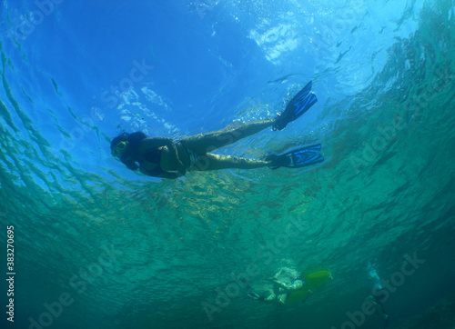  snorkel in the crystal clear waters of the island of Curacao