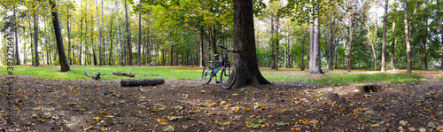 Panorama of the forest with fallen leaves in autumn. Bicycle in the park © Igor Maz