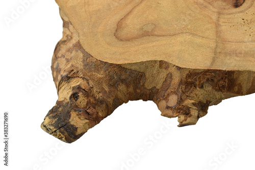 Piece of wood isolated on a white background, close-up photo, detailed texture with rings and cracks. Piece of dried juniper wood