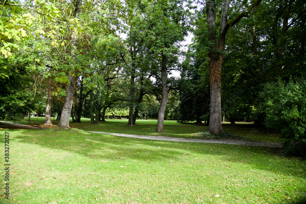 Forststraße im Herbst, vergilbte Bäume und Farben der Natur Forststraße im Herbst, vergilbte Bäume und Farben der Natur
