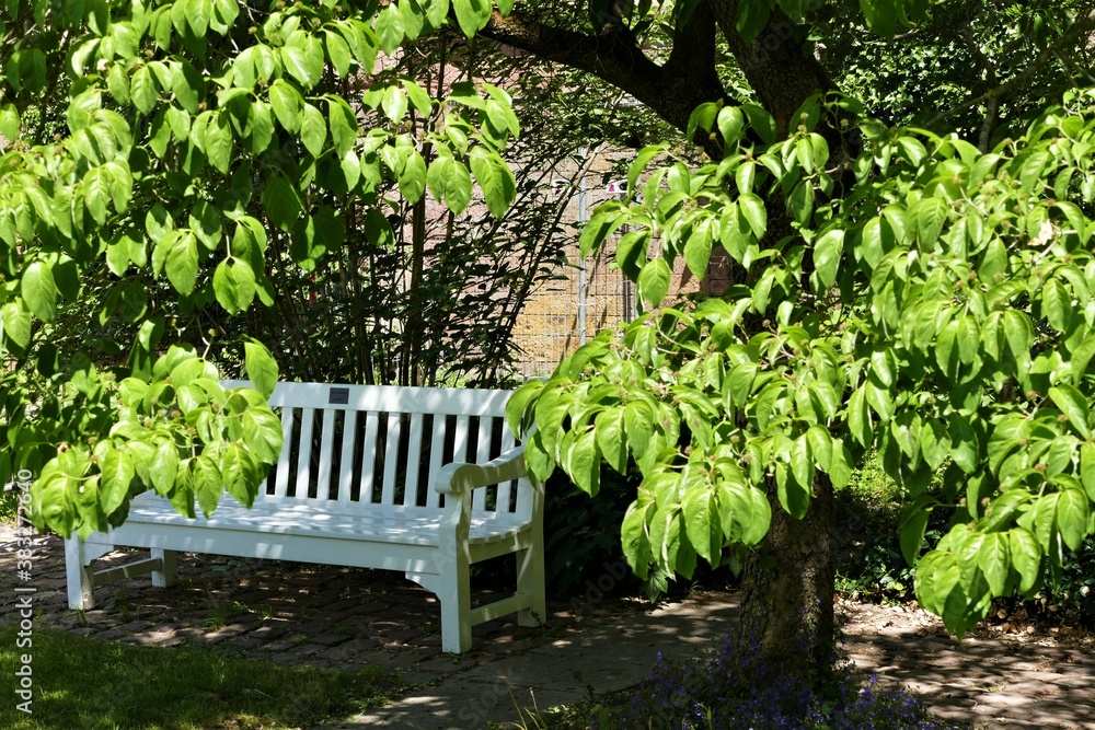 white wooden bench in the garden white wooden bench in the garden