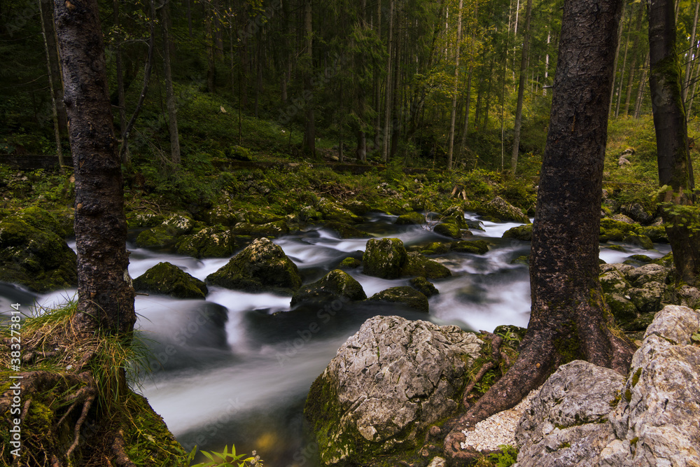 Bollinger Wasserfälle, Österreich, fließendes Wasser Bollinger Wasserfälle, Österreich, fließendes Wasser