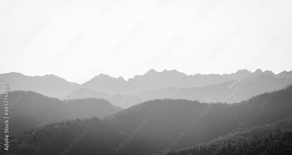 Misty mountains - thick fog covering spruce covered hills and rocky mountains in the background