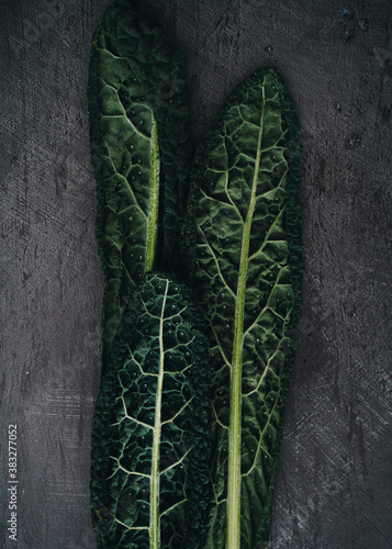Kale Cavolo Nero leaves on black background