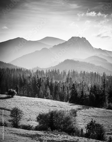 Fototapeta Naklejka Na Ścianę i Meble -  Tatra Mountains in Poland - black and white photography