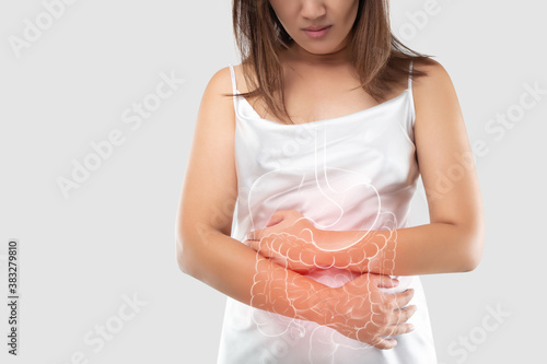 intestine and internal organs in the women's body photo