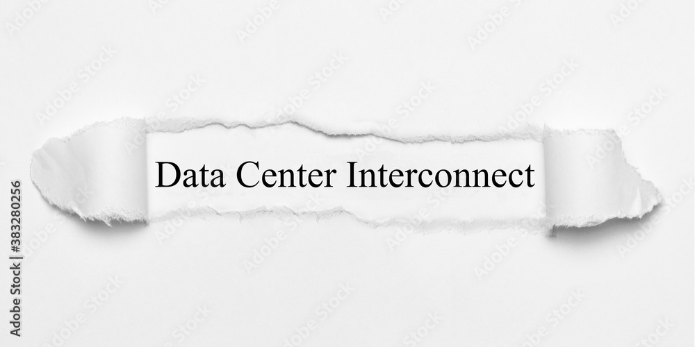 Fototapeta premium Data Center Interconnect