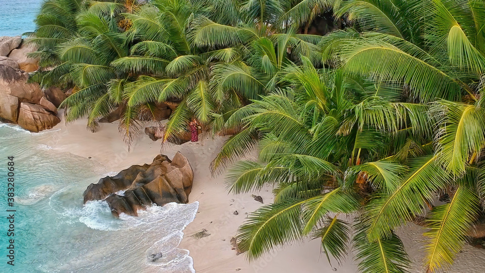 Naklejka Granitowe Skały i piękne Palmy Seszeli, Ocean Indyjski