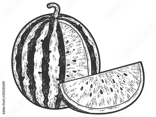 Watermelon, sketch scratch board imitation. Black and white.