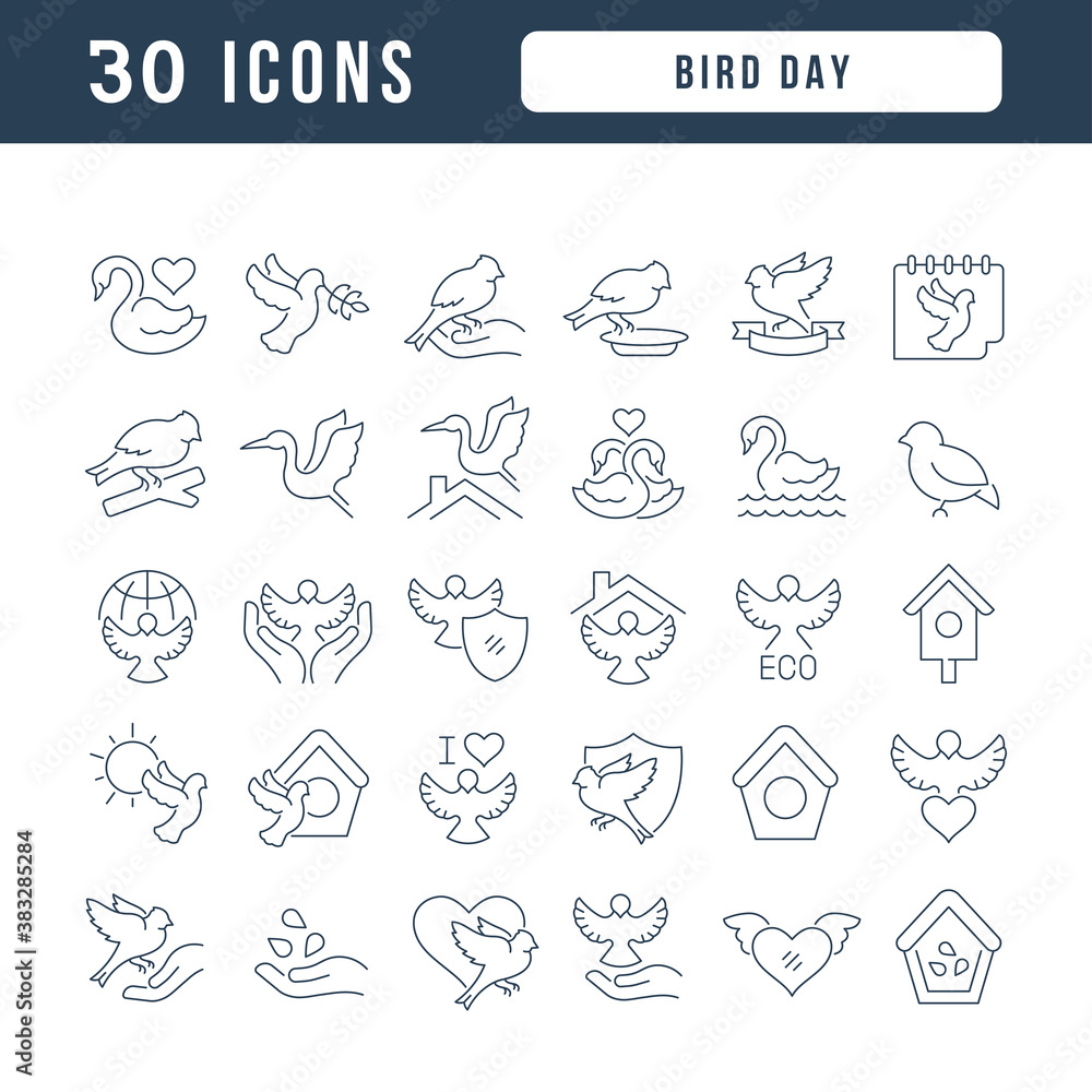 Obraz premium Vector Line Icons of Bird Day